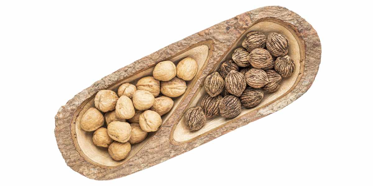 Black Walnuts Nutritional Values and Benefits Nutrition Advance