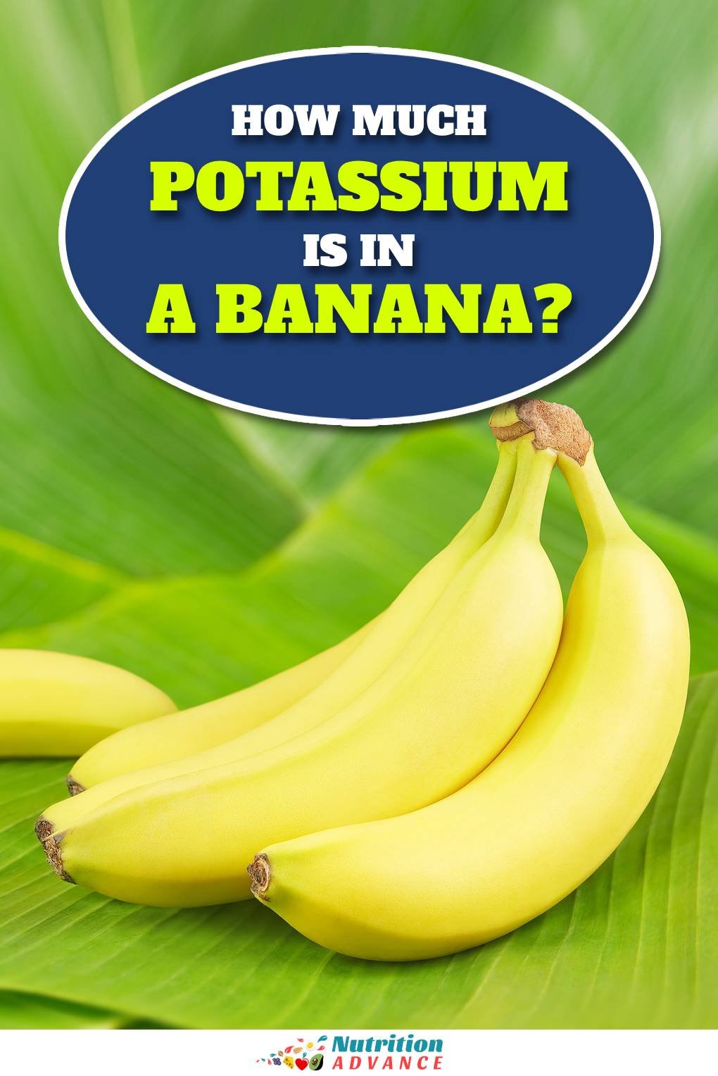 How Much Potassium Is In a Banana? Nutrition Advance