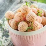 A bowl full of pineberries (white strawberries).