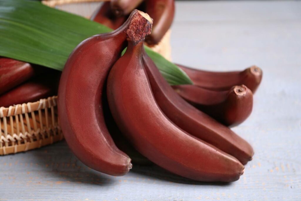 A bunch of red bananas.