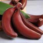 A bunch of red bananas.