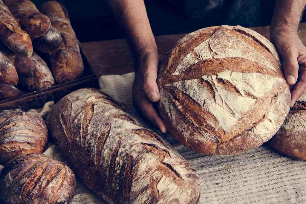 Several loaves of freshly-made sourdough bread.