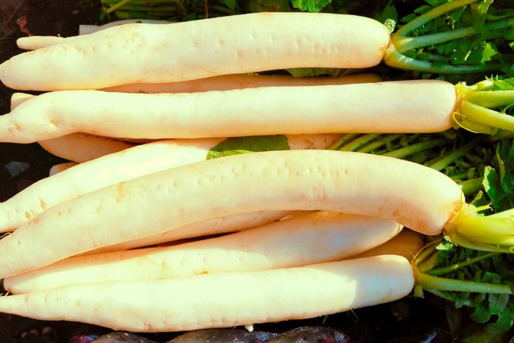 Raw daikon radishes.