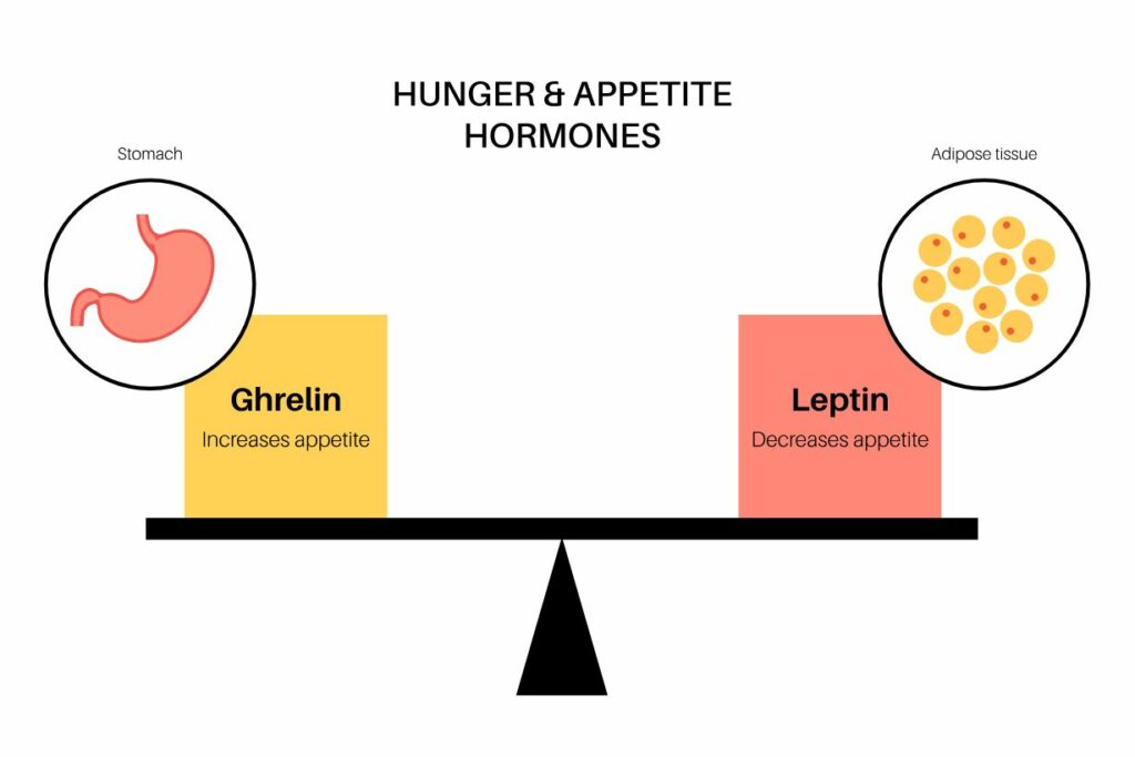 Image showing hunger and appetite hormones that play a role in satiety.