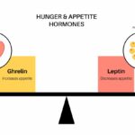 Image showing hunger and appetite hormones that play a role in satiety.