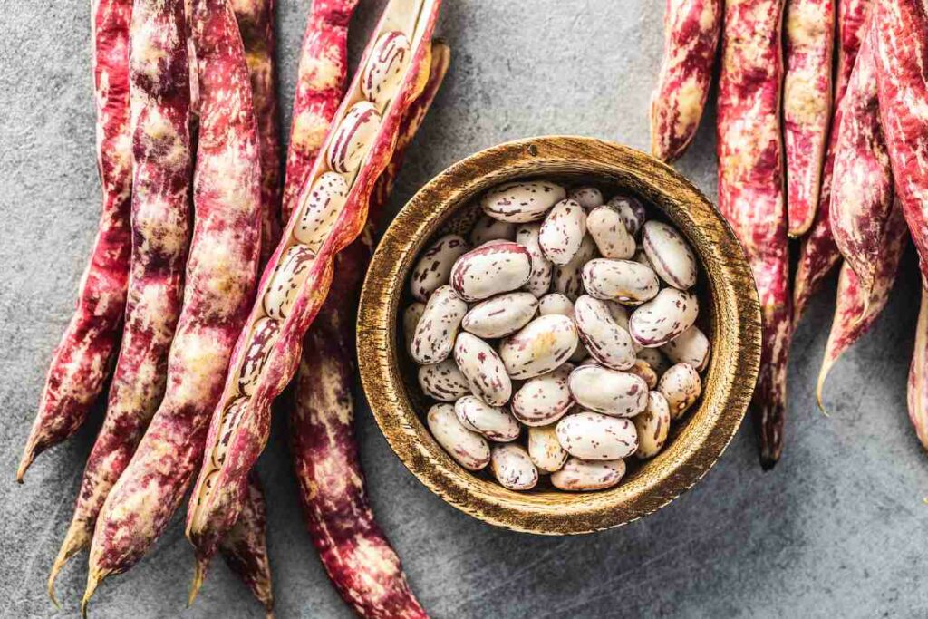 Raw borlotti beans in a wooden bowl.