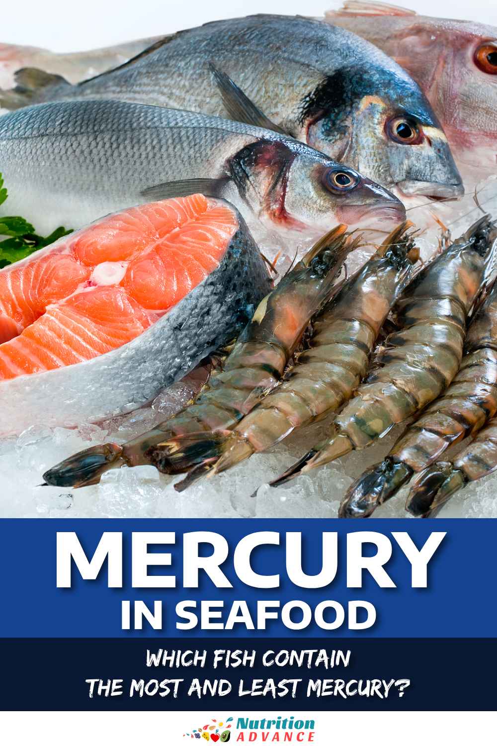 Mercury in Seafood Which Fish Contains the Most and Least Mercury