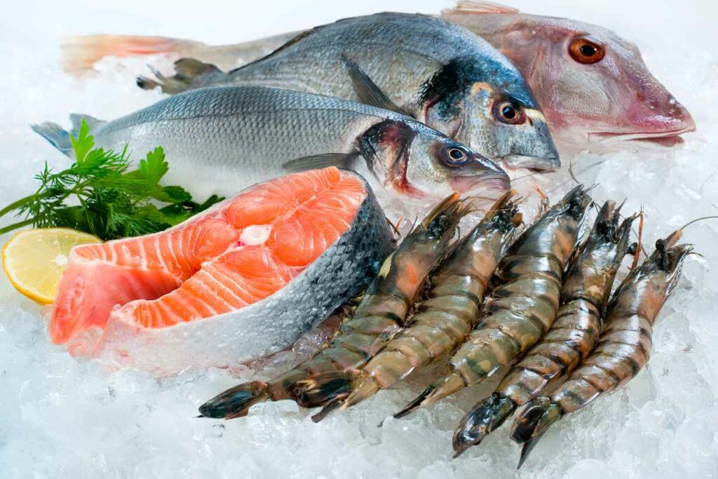 Raw fish and shellfish on a display containing ice.