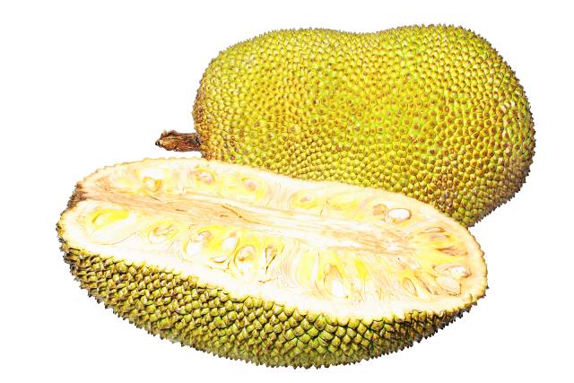A ripe jackfruit sliced in half.