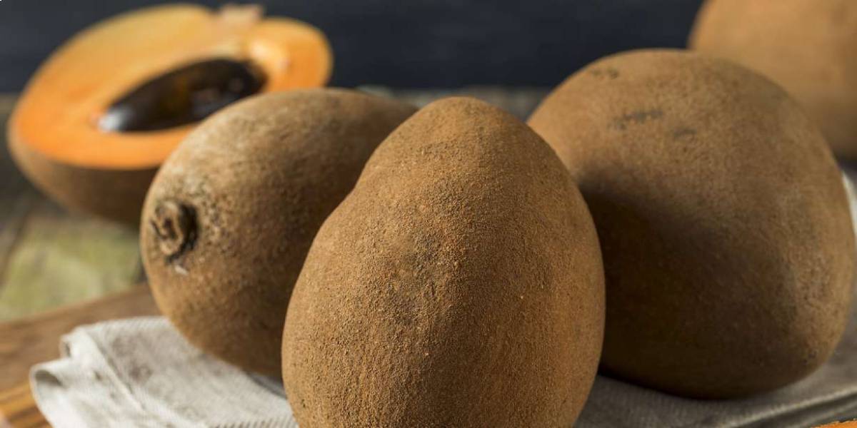 Mamey Sapote Nutrition A Tropical Fruit Full Of Nutrients Nutrition Advance Mamey Sapote Nutrition A Tropical Fruit Full Of Nutrients Nutrition Advance