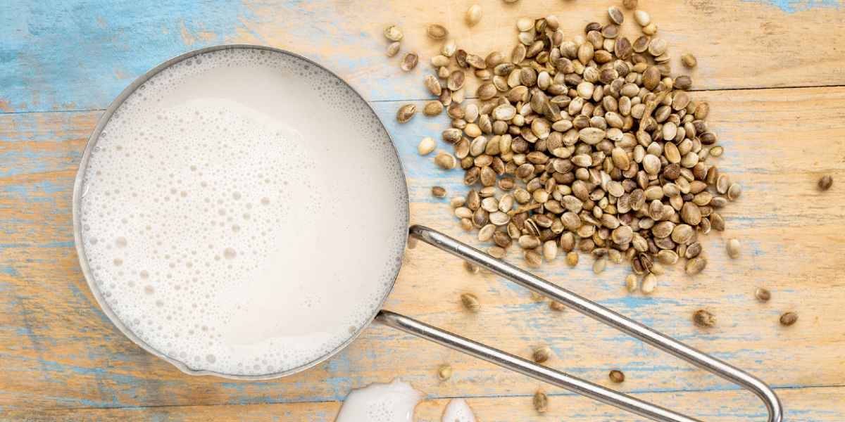 Hemp Milk Nutritional Values, Benefits, Downsides Nutrition Advance