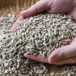 Someone holding a big pile of sunflower seeds in two hands.