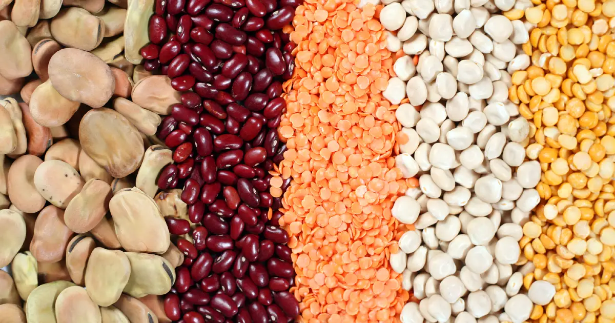 Various dried beans and pulses next to each other in vertical rows.
