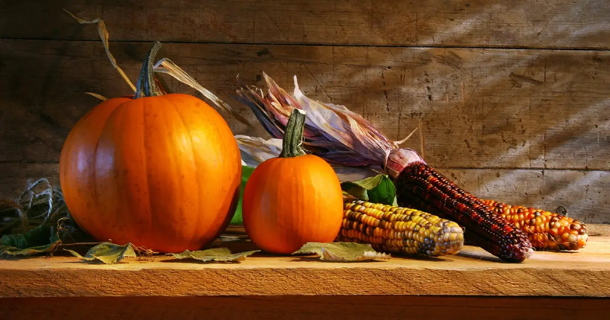 Pumpkins on a wooden shelf.