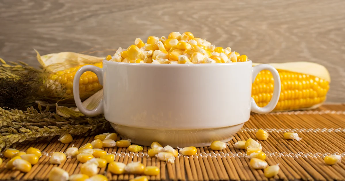 Sweet corn in a white bowl with a corn on the cob behind it.