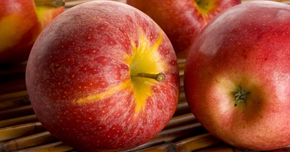 Shiny red Gala apples.