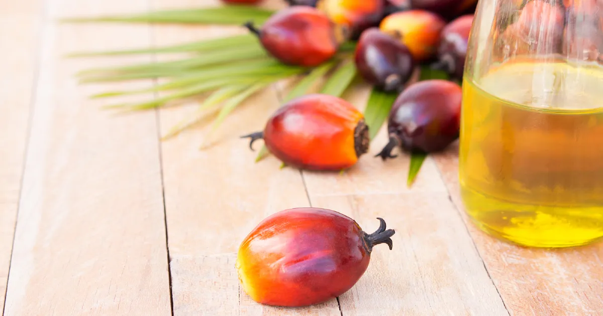 Glass bottle of palm oil on a wooden surface next to palm fruits.