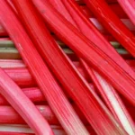 Rhubarb: Key Nutrients, Benefits, and Full Nutrition Profile Several vibrant red rhubarb stalks next to each other.