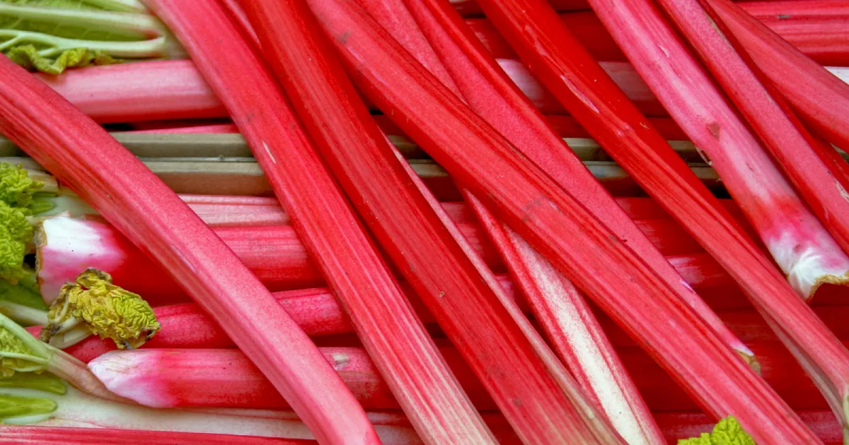 Several vibrant red rhubarb stalks next to each other.