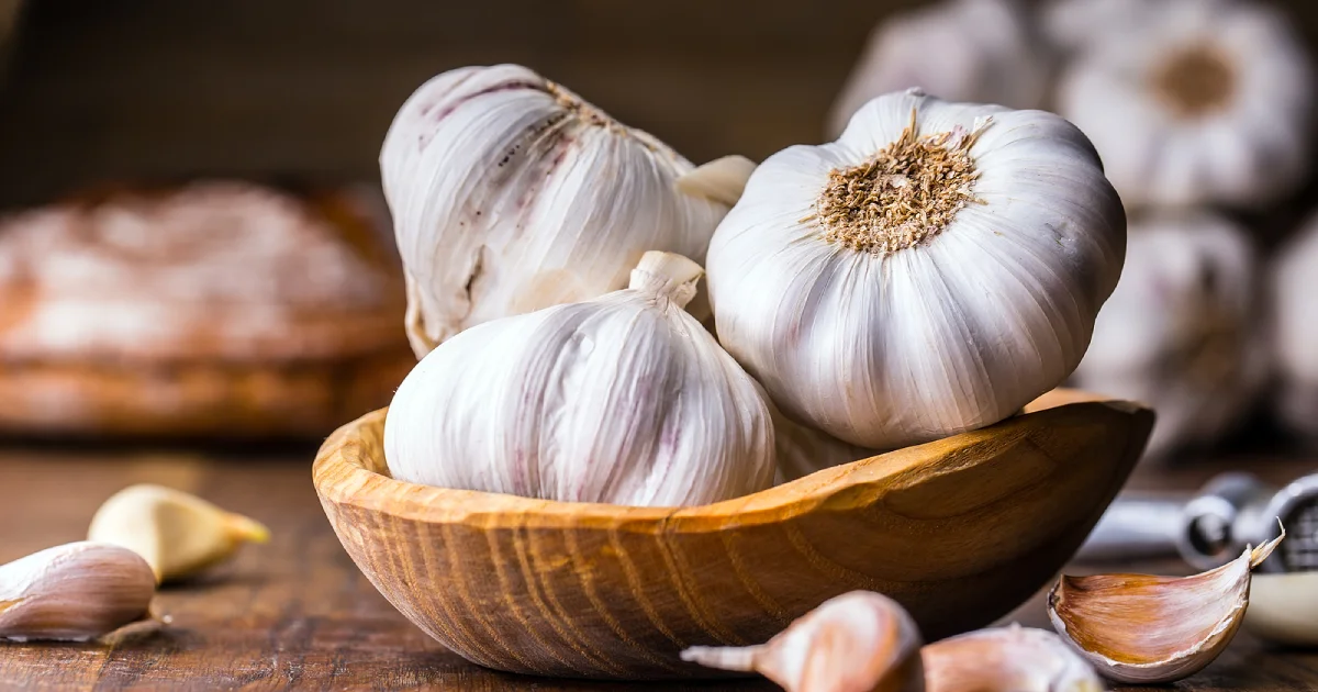 Fresh garlic cloves and bulbs in a small bowl.